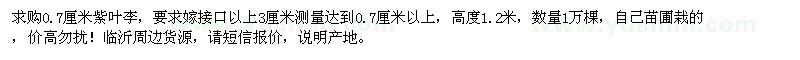 求購0.7厘米紫葉李