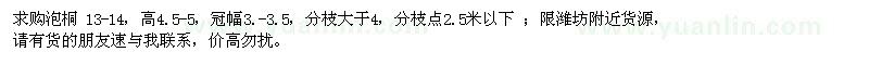 求購泡桐