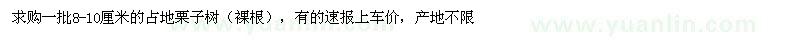 求購(gòu)8-10厘米占地栗子樹