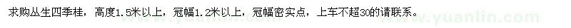 求購叢生四季桂