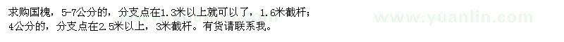 求購4、5-6公分國槐