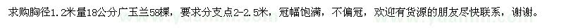 求購胸徑1.2米量18公分廣玉蘭