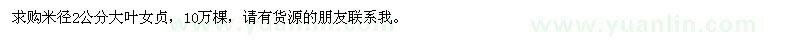 求購米徑2公分大葉女貞