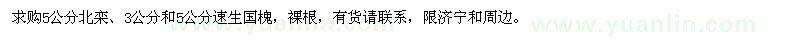 求購(gòu)5公分北欒、3、5公分速生國(guó)槐