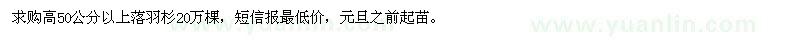求購高50公分以上落羽杉
