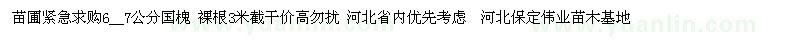 求購6-7公分國槐