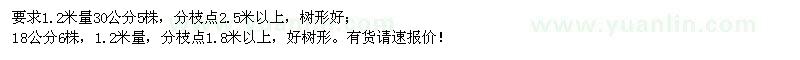 求購1.2米量30公分國槐、18公分國槐