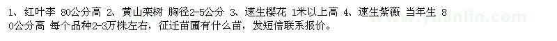 求購紅葉李、黃山欒樹、速生櫻花等
