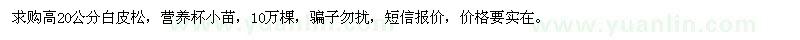 求購(gòu)高20公分白皮松