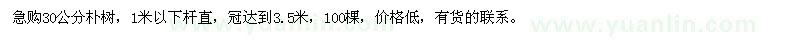 求購30公分樸樹