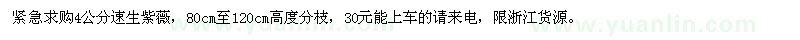 求購(gòu)4公分速生紫薇