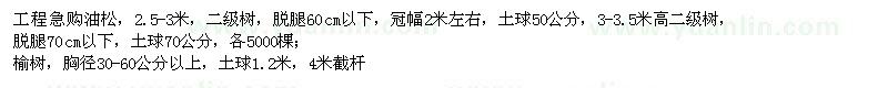求購油松、榆樹