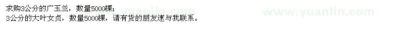求購(gòu)3公分廣玉蘭、大葉女貞