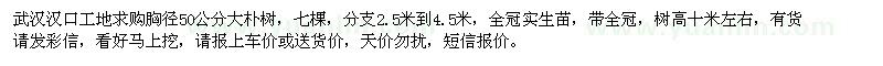 求購胸徑50公分大樸樹(shù)