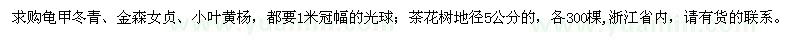 求購龜甲冬青球、金森女貞球、小葉黃楊球等