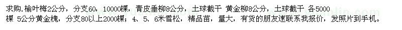 求購榆葉梅、青皮垂柳、黃金柳等