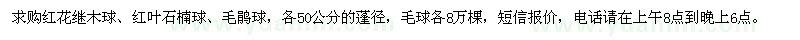 求購紅花繼木球、紅葉石楠球、毛鵑球