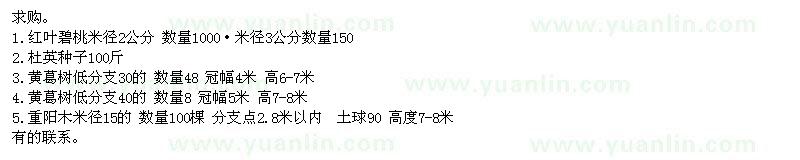 求購紅葉碧桃、黃葛樹、重陽木等