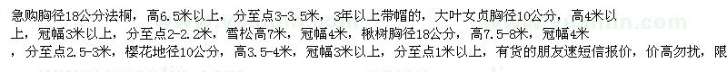 求購法桐、大葉女貞、楸樹(shù)等