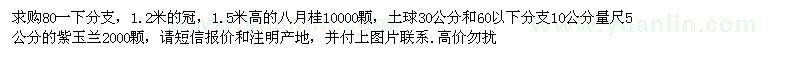 求購高1.5米八月桂