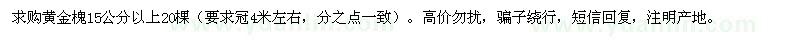 求購15公分以上黃金槐