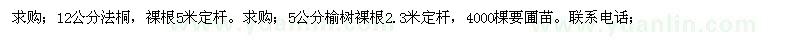 求購12公分法桐