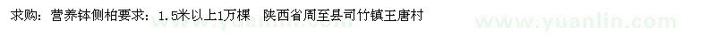 求購(gòu)1.5米以上側(cè)柏營(yíng)養(yǎng)缽