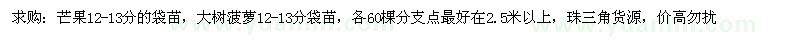求購芒果、大樹菠蘿袋苗