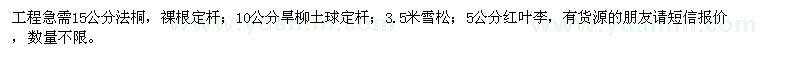 求購法桐、旱柳、雪松等