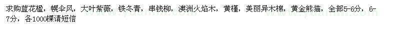 求購藍花楹、幌傘風(fēng)、大葉紫薇等