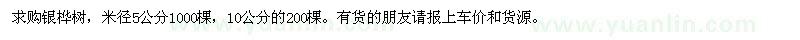 求購(gòu)5、10公分銀樺樹(shù)