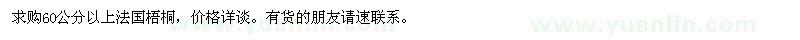 求購60公分以上法國梧桐