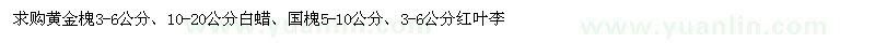求購黃金槐、白蠟、國槐等