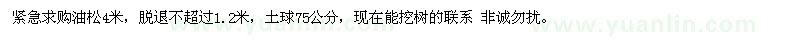 求購4米油松
