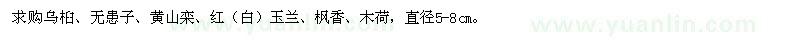 求購烏桕、無患子、黃山欒等