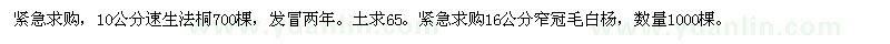 求購(gòu)10公分速生法桐、16公分窄冠毛白楊