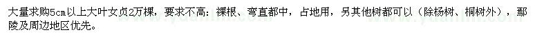 求購(gòu)5公分以上大葉女貞
