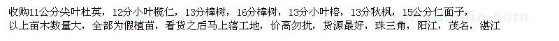 求購(gòu)尖葉杜英、小葉欖仁、樟樹等