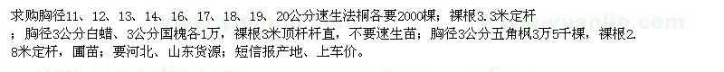 求購速生法桐、白蠟、國槐等