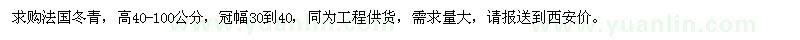 求購(gòu)高40-100公分法國(guó)冬青