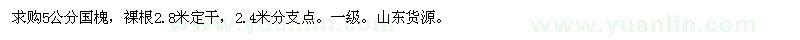 求購5公分國槐