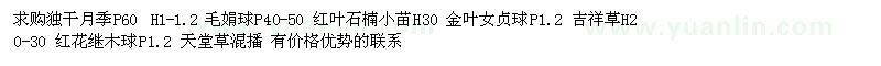 求購(gòu)月季、毛娟球、金葉女貞球等