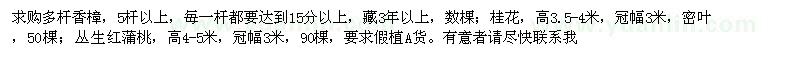 求購多桿香樟、桂花、叢生紅蒲桃