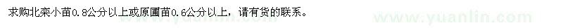 求購0.6公分或0.8公分以上北欒小苗