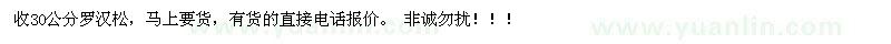 求購30公分羅漢松 