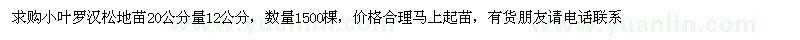 求購20公分量12公分小葉羅漢松地苗