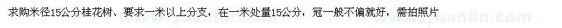 求購米徑15公分桂花樹
