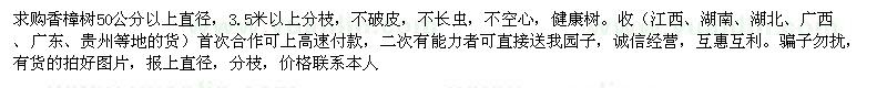 求購直徑50公分以上香樟樹