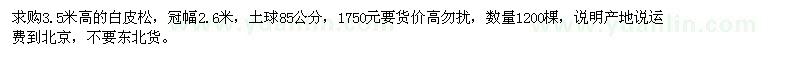 求購高3.5米白皮松
