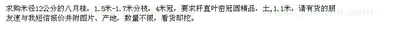 求購米徑12公分八月桂